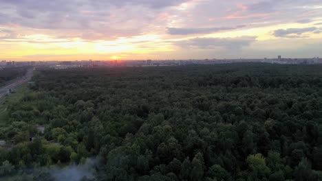 Flying-over-the-trees-of-a-large-city-Park-towards-the-sunset