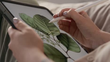 Artist-Drawing-Plants-at-Home-Room-or-Woman-Using-Tablet-and-Pen-for-Digital-Art