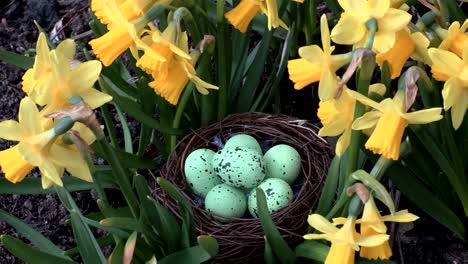 Easter-eggs-in-nest-near-flowers