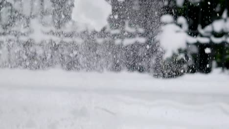 Nahaufnahme-Schuss-von-einem-Zweig-mit-Nadeln-aus-dem-Weihnachtsbaum-auf-dem-weißen-Schnee-liegt,-jemand-Riss-einen-Zweig-und-Schnee-fiel