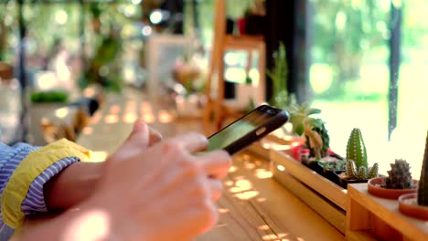 Woman-hand-using-smartphone-in--cafe-background.-Business,-financial,-trade-stock-maket-and-social-network-concept.