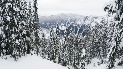 Photographer-Camera-Man-Taking-Photo-Snowy-Natural-Forested-Landscape