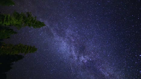 Lluvia-de-meteoros-con-estrellas-de-la-vía-Láctea-gira-sobre-árboles-forestales-(Time-Lapse)