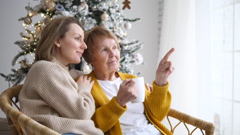 Enkelin-mit-Großmutter-feiert-Weihnachten-zu-Hause.