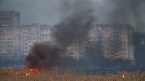 Brennende-Sedge-mit-Flammenzungen-am-Dnipro-Ufer-am-Abend-im-Frühling