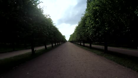 Alley-im-Park-in-Peterhof