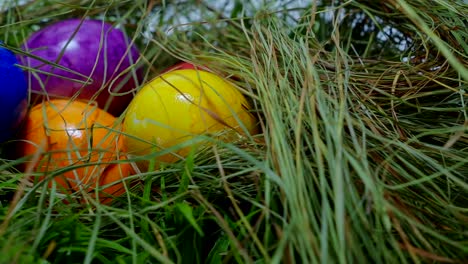 Encuentran-en-la-hierba---un-nido-con-huevos-de-Pascua