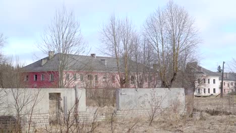 View-of-the-big-houses-with-the-small-plants-on-the-yard