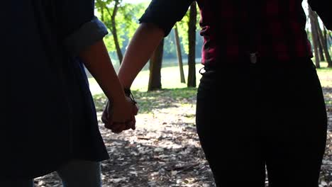 Pareja-de-lesbianas-en-el-amor-caminando