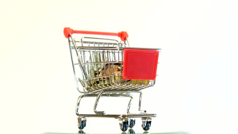 Shopping-cart-full-of-euro-coins