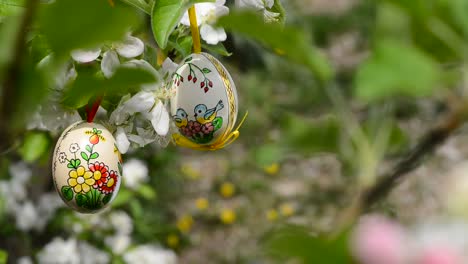 Ostereier-an-den-Zweig-der-Apfelbaum-im-Garten-hängen.-Rack-Fokus.