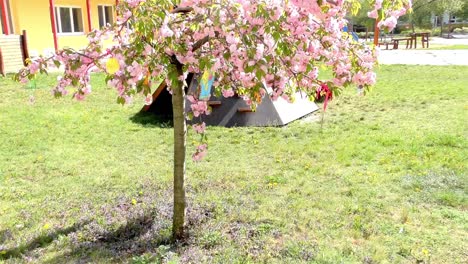 Easter-Tree-In-the-Garden---Modern-Public-Building-Kindergarten---Preschool