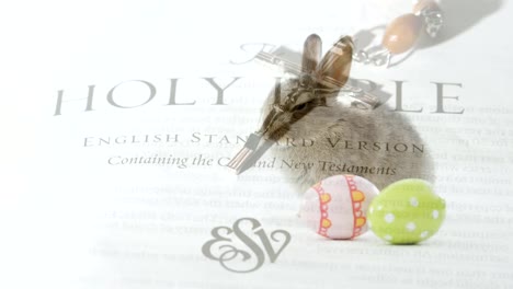 Easter-bunny,-eggs,-and-bible