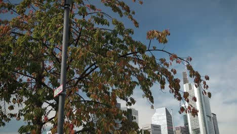 Stadtbild,-im-Vordergrund-ein-Baum,-hinter-einer-modernen-Stadt-mit-einem-Fluss