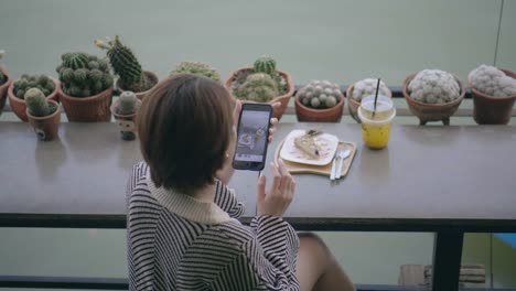 Woman-Photographing-food-in-coffee-shop.-stock-video