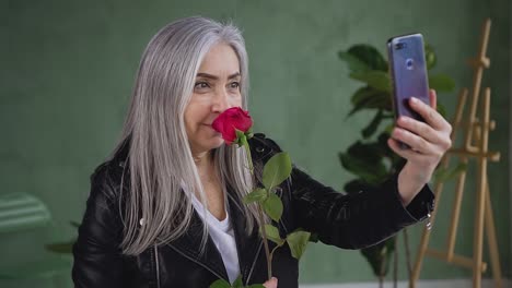 Smiling-satisfied-mature-woman-with-gray-hair-dressed-in-black-jacket-holding-red-rose-in-hand-and-making-selfie