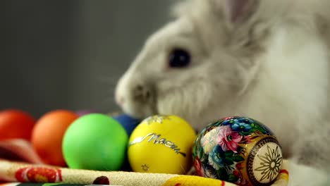 Conejito-de-pascua-con-huevos-de-Pascua