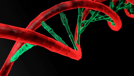 Animated-DNA-chain.-Rotation-DNA