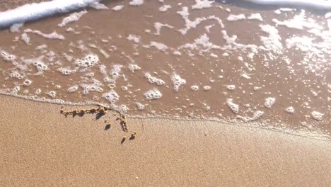 Bitcoin-sign-written-in-the-sea-sand.-Waves-washed-away-the-inscription.