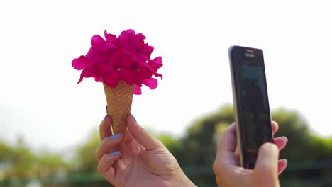 Woman-with-mobile-taking-picture-of-cone-flower-bouquet