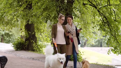 Mujeres-dueños-de-perros-usando-gadgets-al-aire-libre