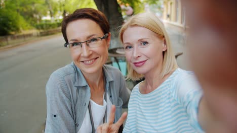 POV-de-mujeres-atractivas-tomando-selfie-al-aire-libre-en-café-posando-divirtiéndose