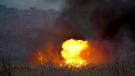 Verblüffende-Ansicht-von-gigantischen-Zungen-von-Flammen,-die-Schilf,-Sedge-und-Bulrush-in-den-Vororten-in-der-Nacht-im-Frühling-in-slo-mo.