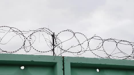 Close-up-view-of-barbed-wire-in-prison.-Jail-with-barbed-wire-fence.-Green-fence-with-barbed-wire