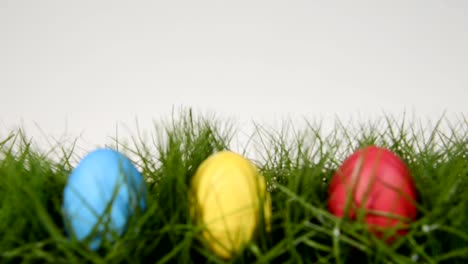 easter-eggs-in-grass