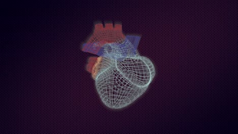 Modelo-3d-del-corazón-humano-en-el-monitor-dando-la-vuelta,-con-construcciones-visuales-y-latidos.