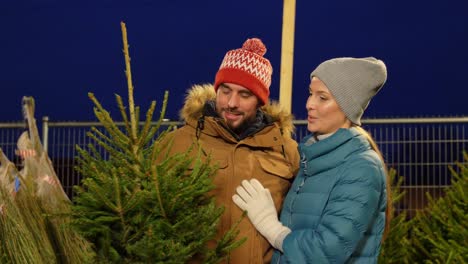 glückliches-Paar-kaufen-Weihnachtsbaum-auf-dem-Markt