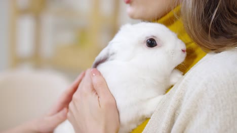 Woman-Holding-Adorable-Bunny