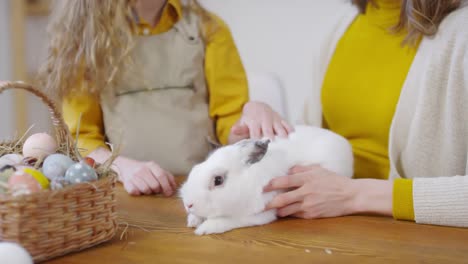 Petting-Adorable-Bunny-at-Easter