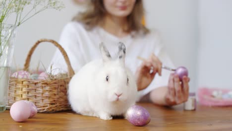 Sequenz-der-Frau-mit-Haustier-Bunny-Dekorieren-Ostereier