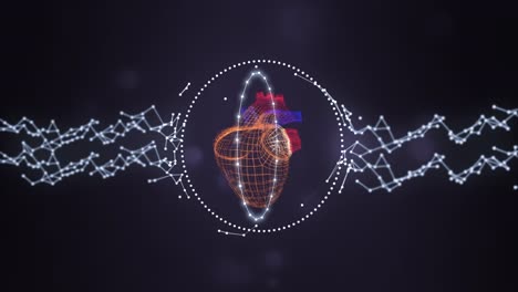 Gridded-model-of-human-heart-shielded-by-glowing-rings-and-plexus-network,-rotating-over-darl-space-background.