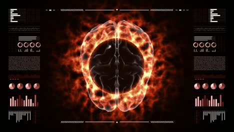 Digital-HUD-display-examining-a-burning-3d-brain.