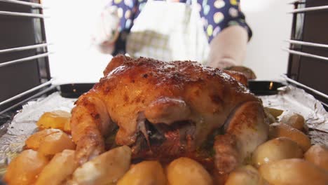 Woman-cooking-whole-roasted-chicken-baked-in-oven,-crispy-chicken-and-vegetables