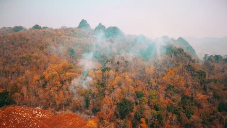 Smog-von-Buschfeuer.-Entwaldung-und-Klimakrise.-Giftiger-Dunst-durch-Regenwaldbrände.-Luftvideo-4k