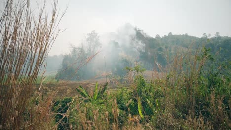 Brennende-Felder-auf-dem-Land-.-Krise-der-Landwirtschaft-und-der-Ökosysteme.-Giftiger-Dunst-aus-trockenem-Graslandbrand.-Luftvideo-4k