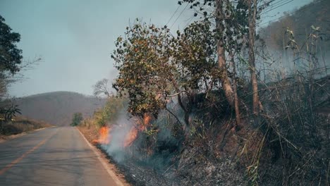 Cultivo-en-llamas-en-el-campo.-Crisis-agrícola-y-de-ecosistemas.-Neblina-tóxica-del-fuego-de-pastizales-secos.-Vídeo-aéreo-4k