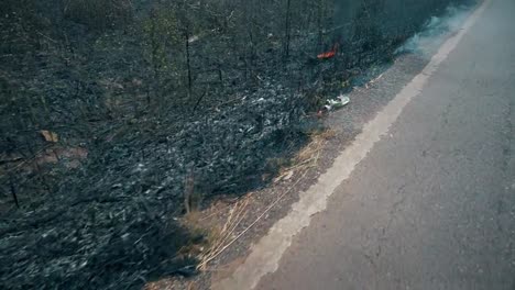 Cultivo-en-llamas-en-el-campo.-Crisis-agrícola-y-de-ecosistemas.-Neblina-tóxica-del-fuego-de-pastizales-secos.-Vídeo-aéreo-4k