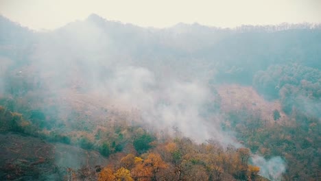 Crisis-del-calentamiento-global.-Cortar-y-quemar-la-agricultura.-Cambio-climático,-deforestación.-Imágenes-4k