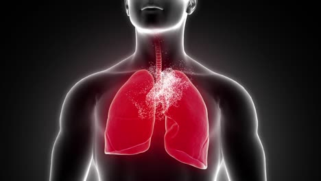 High-quality-footage-of-a-human-lung-has-been-recovered