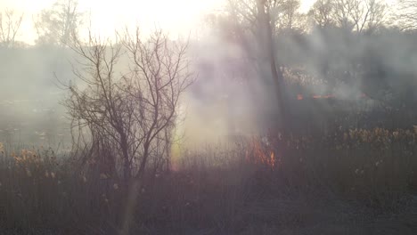 Dry-grass-burning.-Climate-change-and-ecology