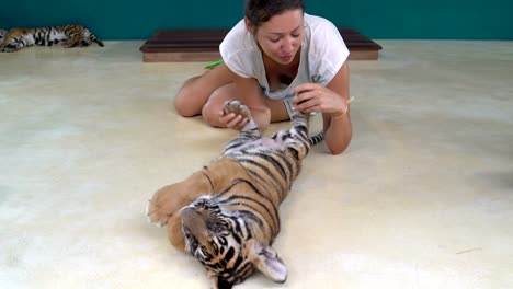 Mujer-juega-con-un-tigre-pequeño,-sostiene-para-patas