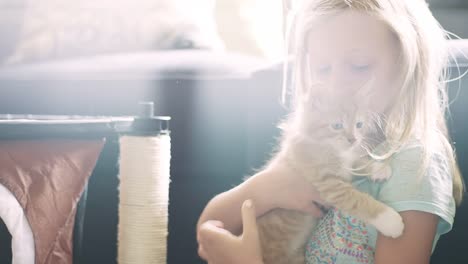 A-little-girl-pulls-a-kitten-out-of-its-house-and-gives-it-a-hug