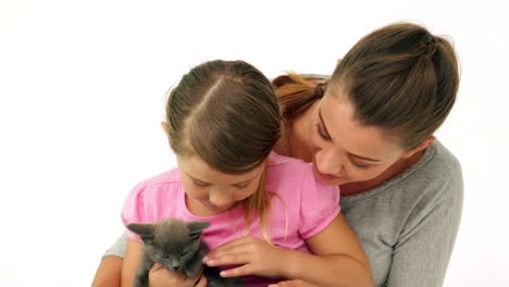 Cute-mother-and-daughter-with-a-little-grey-kitten