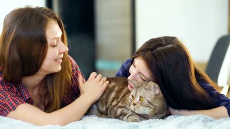 Two-happy-women-friends-lying-in-bed-hug-fat-angry-cat-and-have-fun-on-bed