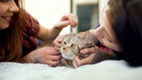 Closeup-of-two-happy-women-friends-lying-in-bed-hug-fat-angry-cat-and-have-fun-on-bed