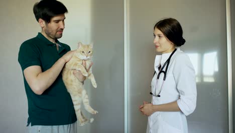 Hombre-dueño-de-gato-que-habla-con-la-mujer-de-veterinario-en-veterinario-oficina